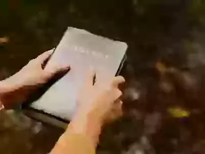 Our Lord Loves